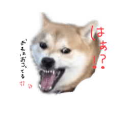 638600601