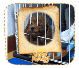 638609219