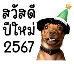 638610843