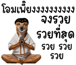 638611344