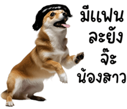 638621365