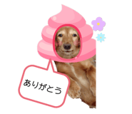 638623361