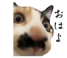 638633062