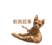 638633329
