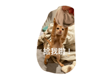 638633335