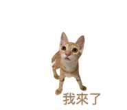 638633348