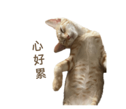 638633350