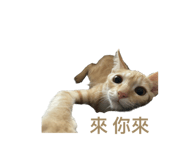 638633352