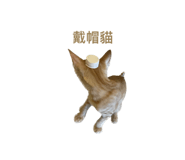 638633353