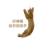 638633355