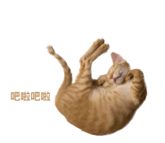 638633365
