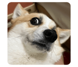 638639676