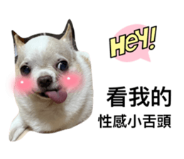 638644357