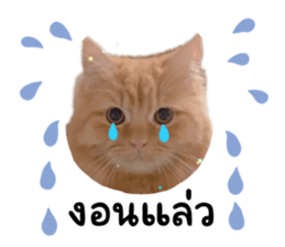 638655624