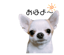 638702775
