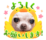 638714504