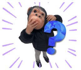 638794801