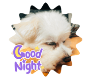 638802147