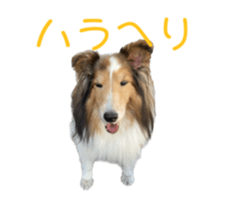 638803559