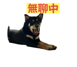 638859871