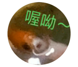 638867223