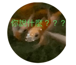 638867225