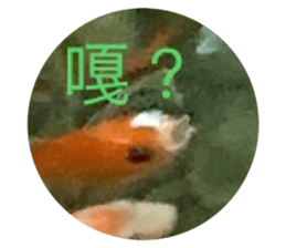 638867229
