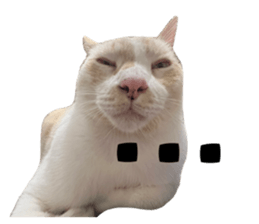638890439