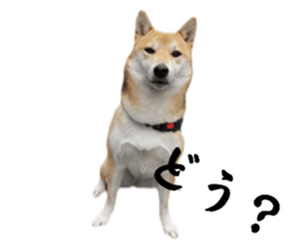 638891101