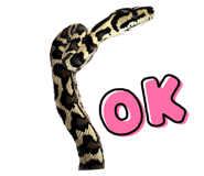 638900310