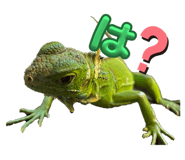 638900312