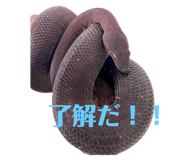638900316