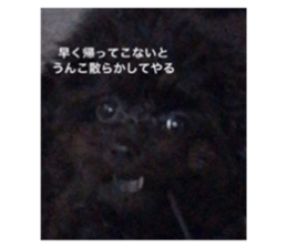 638942421