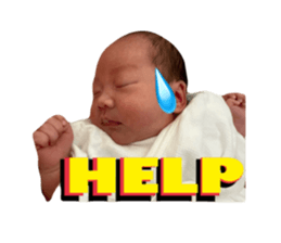639004949