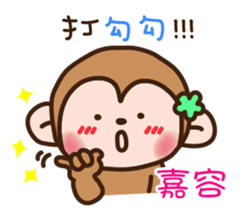 639053055