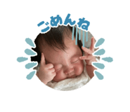 639075950