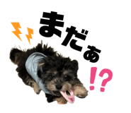 639081562