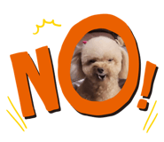 639091419