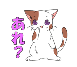 6391494