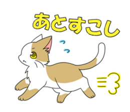 6391516