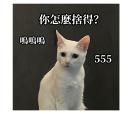 639156020