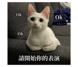 639156035