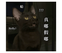 639156037
