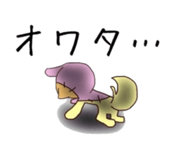 6391816