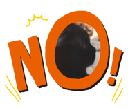 639205616