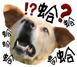 639223585