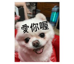 639233913