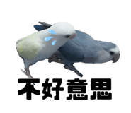 639261336