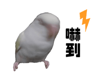 639261357