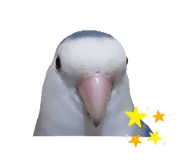 639261363